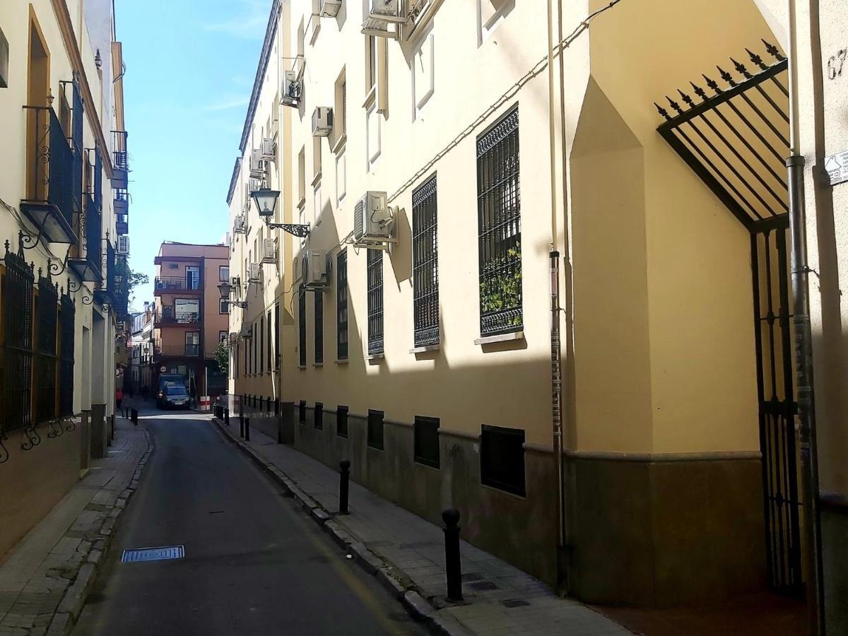 Enladrillada.Parking Incluido.Cuna Del Flamenco Sevilla Exteriör bild
